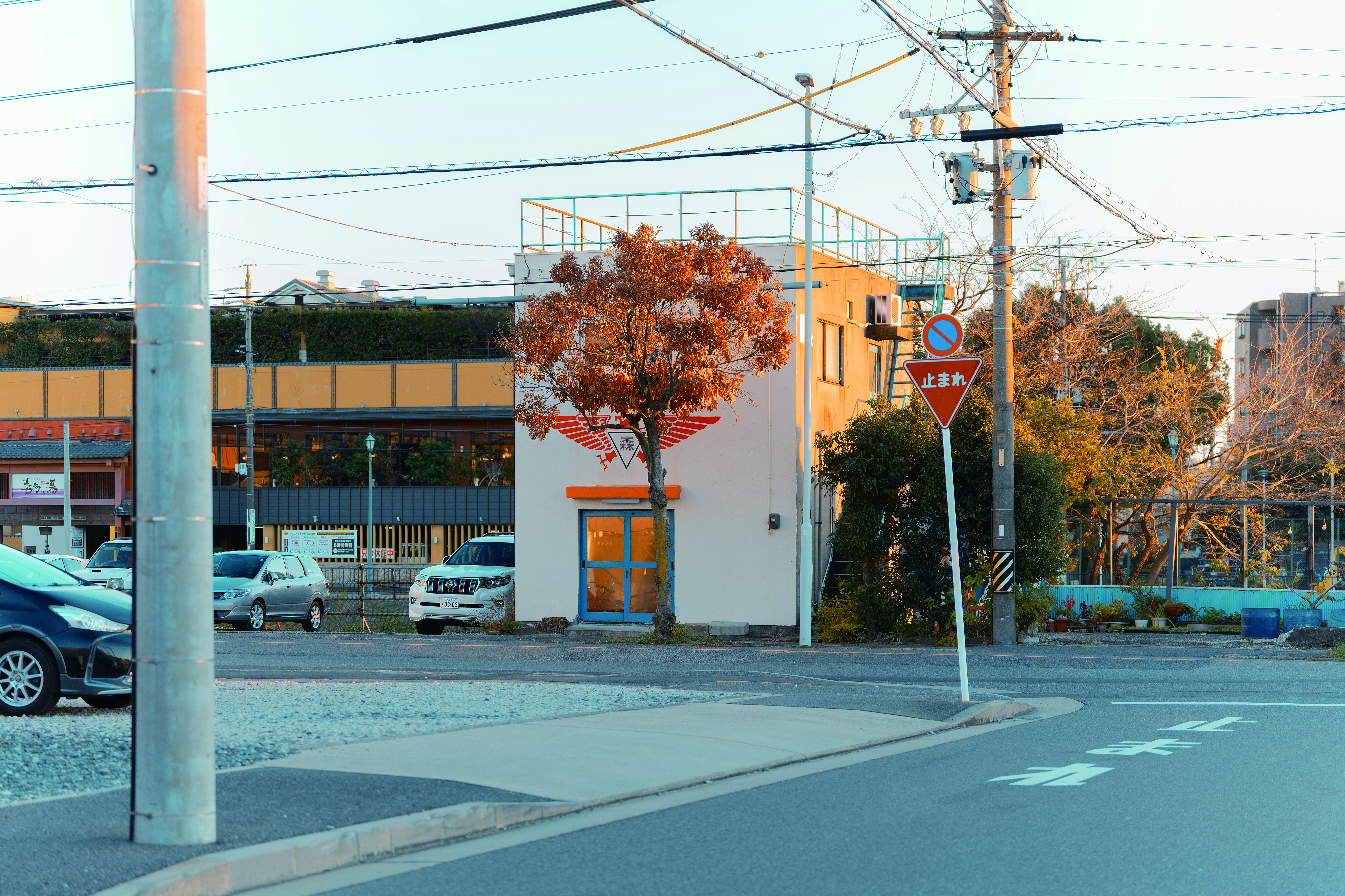 運河の森ギャラリー